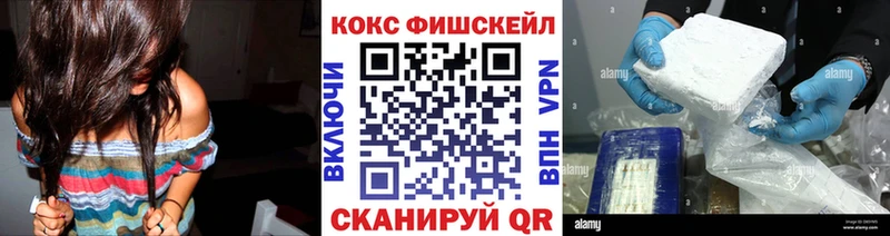 Кокаин Fish Scale  купить  цена  Дмитровск 
