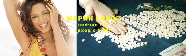 Альфа ПВП Горняк