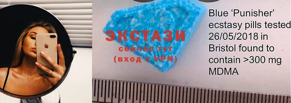 Альфа ПВП Горняк