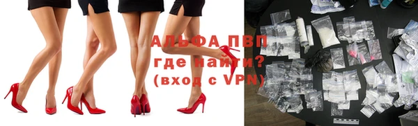 твердый Волоколамск