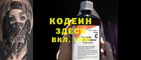 индика Горнозаводск