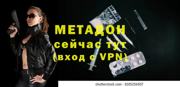 индика Горнозаводск
