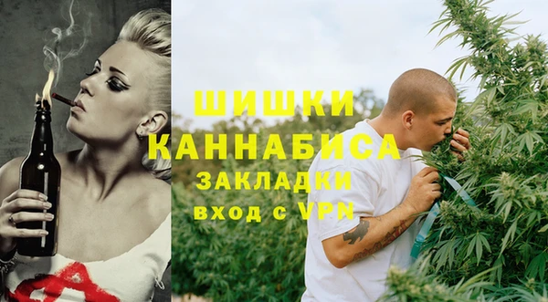 Альфа ПВП Горняк