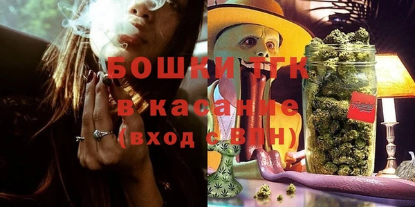 Альфа ПВП Горняк
