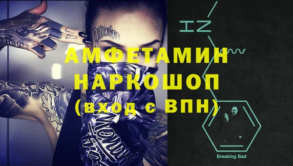 Альфа ПВП Горняк