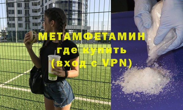индика Горнозаводск