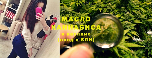 Альфа ПВП Горняк