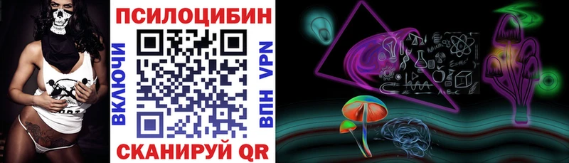 где можно купить   блэк спрут как зайти  Псилоцибиновые грибы ЛСД  Дмитровск 